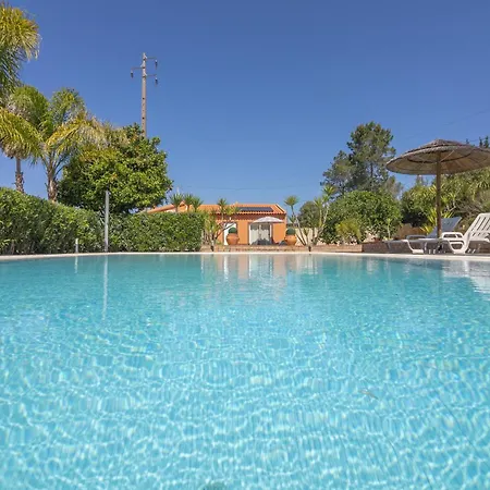 Quinta Gomes Holiday home *